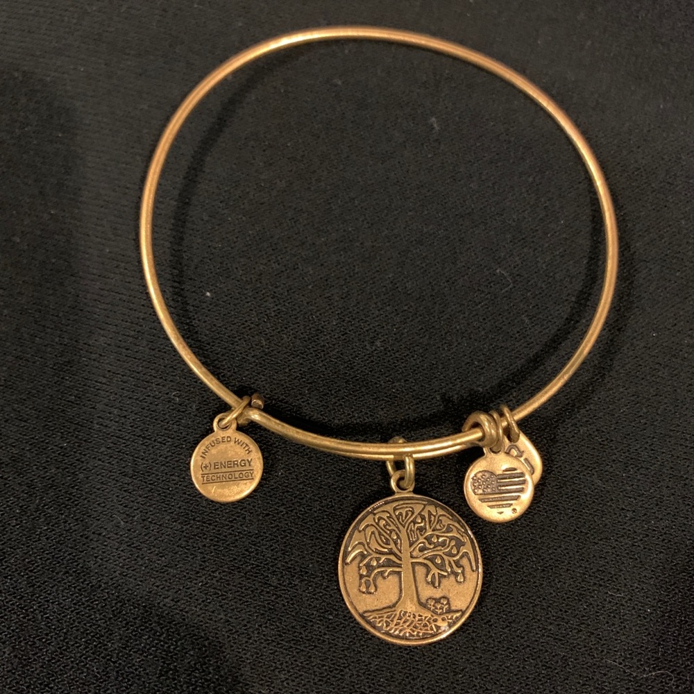 Alex and Ani Gold Bangle